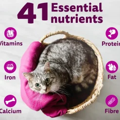 Whiskas Adult (1+ Years) Mackerel Flavour Dry Cat Food
