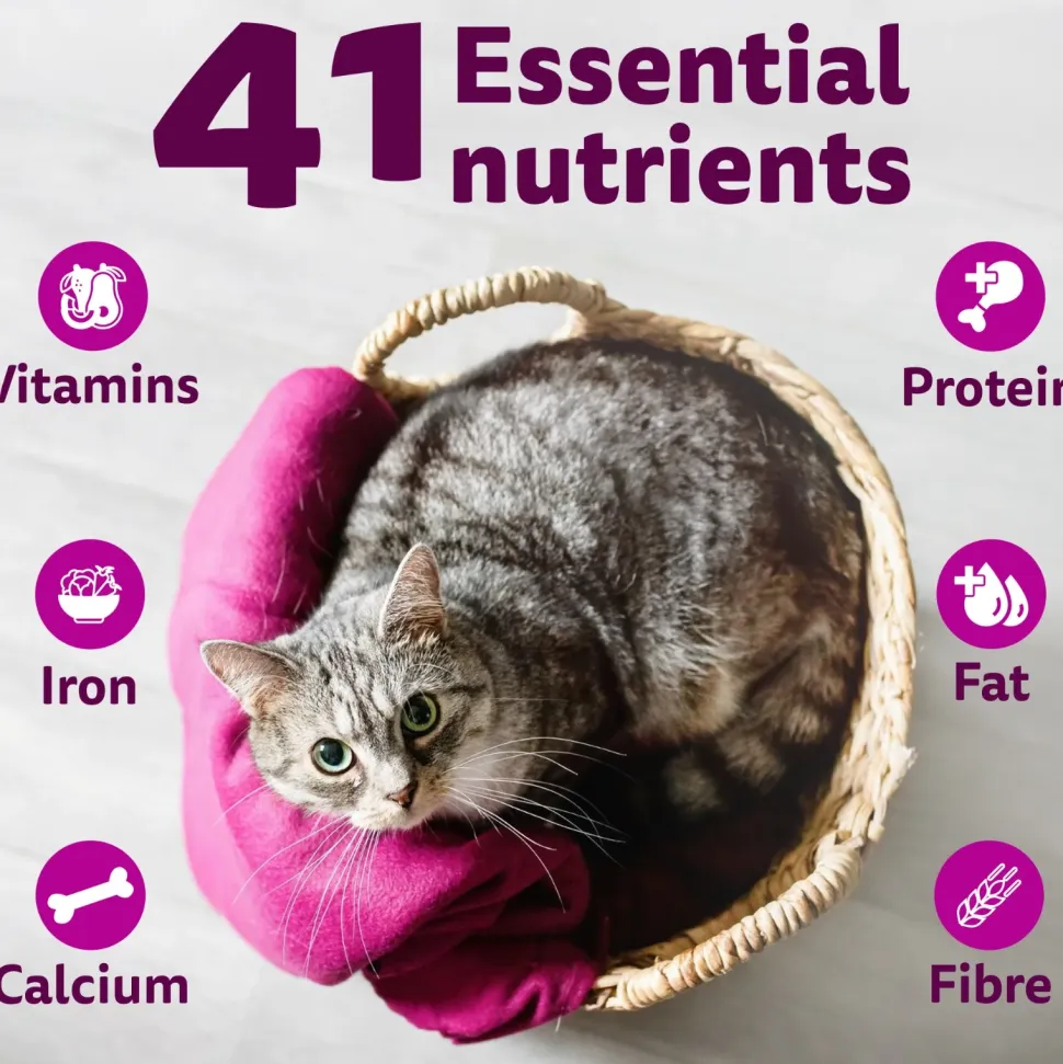 Whiskas Adult (1+ Years) Mackerel Flavour Dry Cat Food