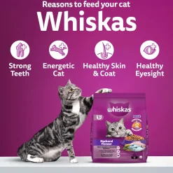 Whiskas Adult (1+ Years) Mackerel Flavour Dry Cat Food