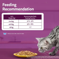 Whiskas Adult (1+ Years) Salmon in Gravy Wet Cat Food - 80 gm Pack
