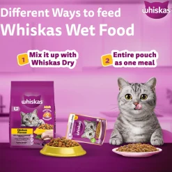 Whiskas Adult (1+ Years) Salmon in Gravy Wet Cat Food - 80 gm Pack