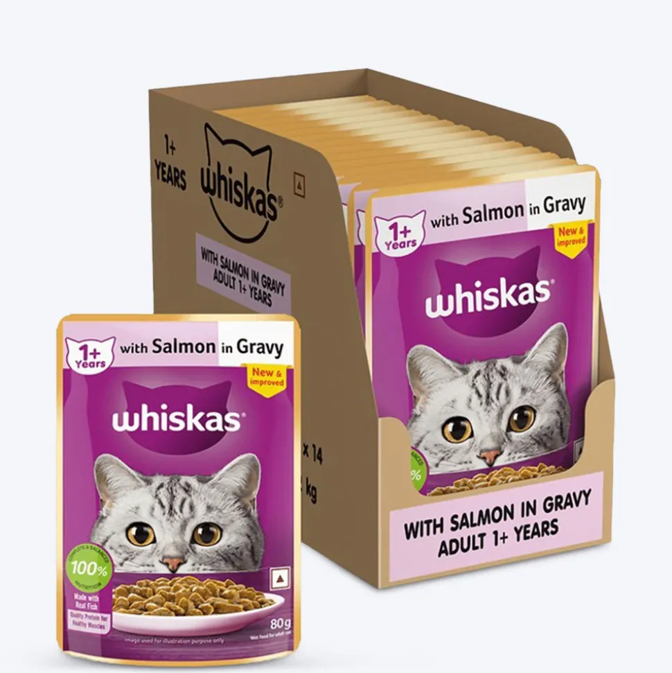 Whiskas Adult (1+ Years) Salmon in Gravy Wet Cat Food - 80 gm Pack