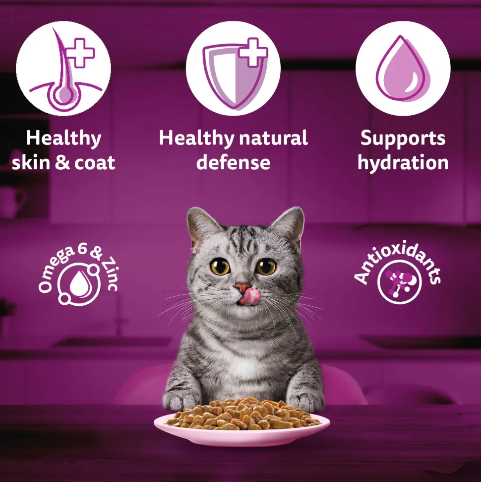 Whiskas Adult (1+ Years) Salmon in Gravy Wet Cat Food - 80 gm Pack