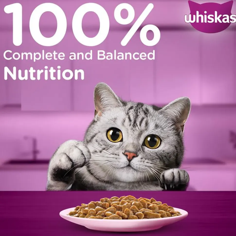 Whiskas Adult (1+ Years) Salmon in Gravy Wet Cat Food - 80 gm Pack