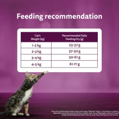 Whiskas Adult (1+ Years) Tuna Flavour Dry Cat Food