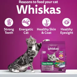 Whiskas Adult (1+ Years) Tuna Flavour Dry Cat Food