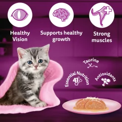 Whiskas Chicken With Salmon In Jelly Wet Food For Junior (2-12 Months) Kitten - 80 gm Pack
