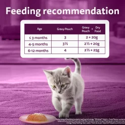 Whiskas Chicken With Salmon In Jelly Wet Food For Junior (2-12 Months) Kitten - 80 gm Pack