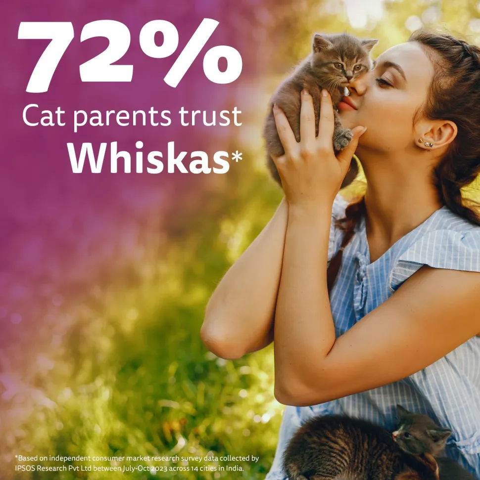 Whiskas Chicken With Salmon In Jelly Wet Food For Junior (2-12 Months) Kitten - 80 gm Pack