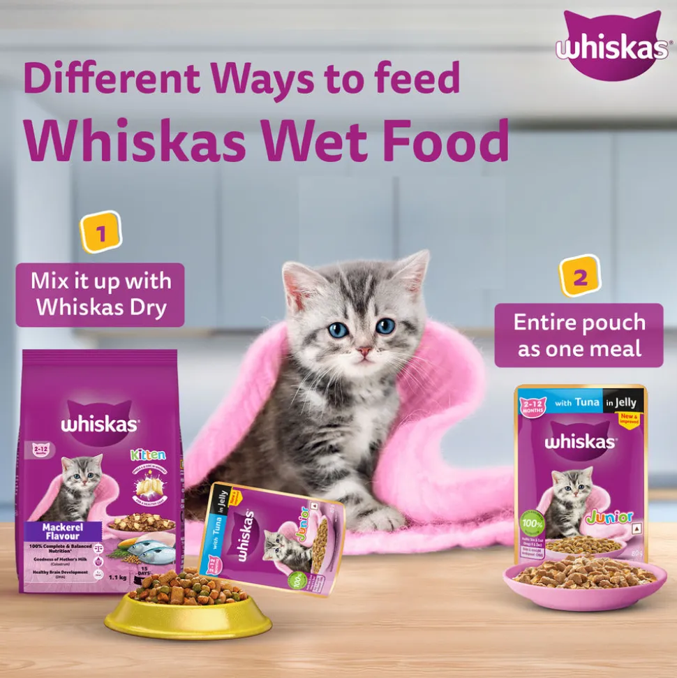 Whiskas Chicken With Salmon In Jelly Wet Food For Junior (2-12 Months) Kitten - 80 gm Pack