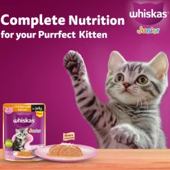 Whiskas Chicken With Salmon In Jelly Wet Food For Junior (2-12 Months) Kitten - 80 gm Pack
