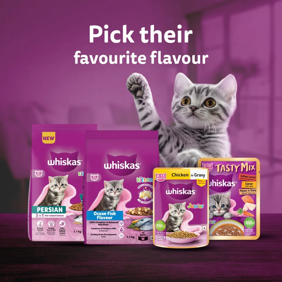 Whiskas Chicken With Salmon In Jelly Wet Food For Junior (2-12 Months) Kitten - 80 gm Pack