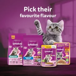 Whiskas Junior Kitten (2-12 Months) Chicken in Gravy Wet Cat Food - 80 gm Pack