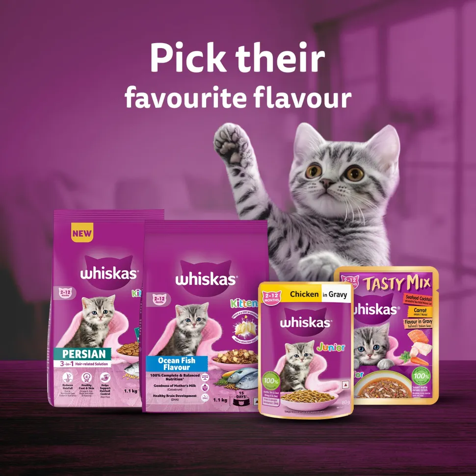 Whiskas Junior Kitten (2-12 Months) Chicken in Gravy Wet Cat Food - 80 gm Pack