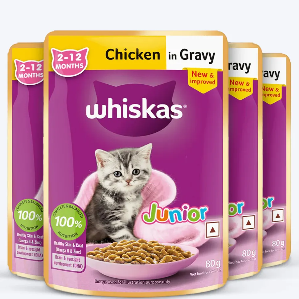 Whiskas Junior Kitten (2-12 Months) Chicken in Gravy Wet Cat Food - 80 gm Pack