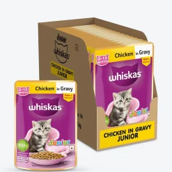 Whiskas Junior Kitten (2-12 Months) Chicken in Gravy Wet Cat Food - 80 gm Pack