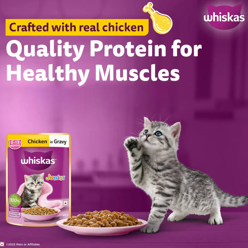 Whiskas Junior Kitten (2-12 Months) Chicken in Gravy Wet Cat Food - 80 gm Pack