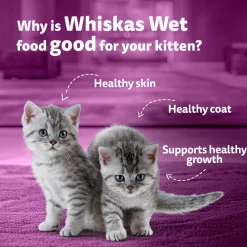 Whiskas Junior Kitten (2-12 Months) Chicken in Gravy Wet Cat Food - 80 gm Pack