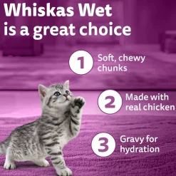 Whiskas Junior Kitten (2-12 Months) Chicken in Gravy Wet Cat Food - 80 gm Pack