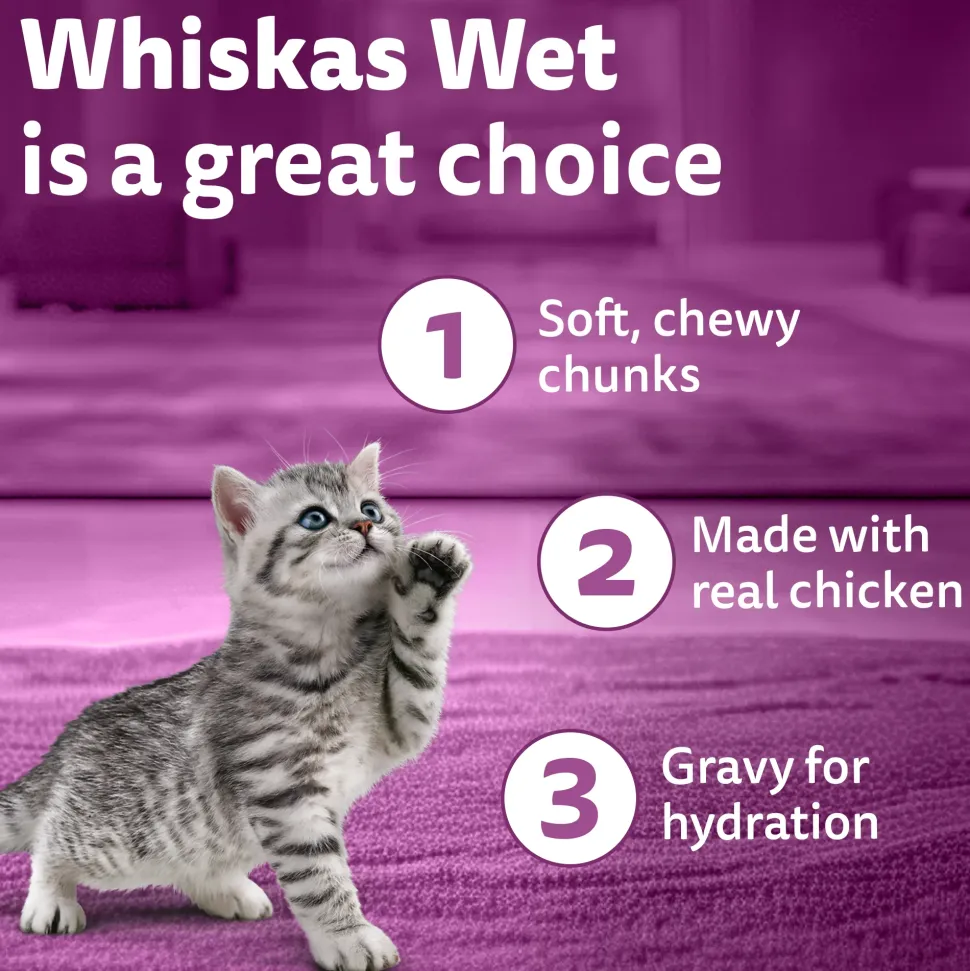 Whiskas Junior Kitten (2-12 Months) Chicken in Gravy Wet Cat Food - 80 gm Pack