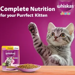 Whiskas Junior Kitten (2-12 Months) Chicken in Gravy Wet Cat Food - 80 gm Pack