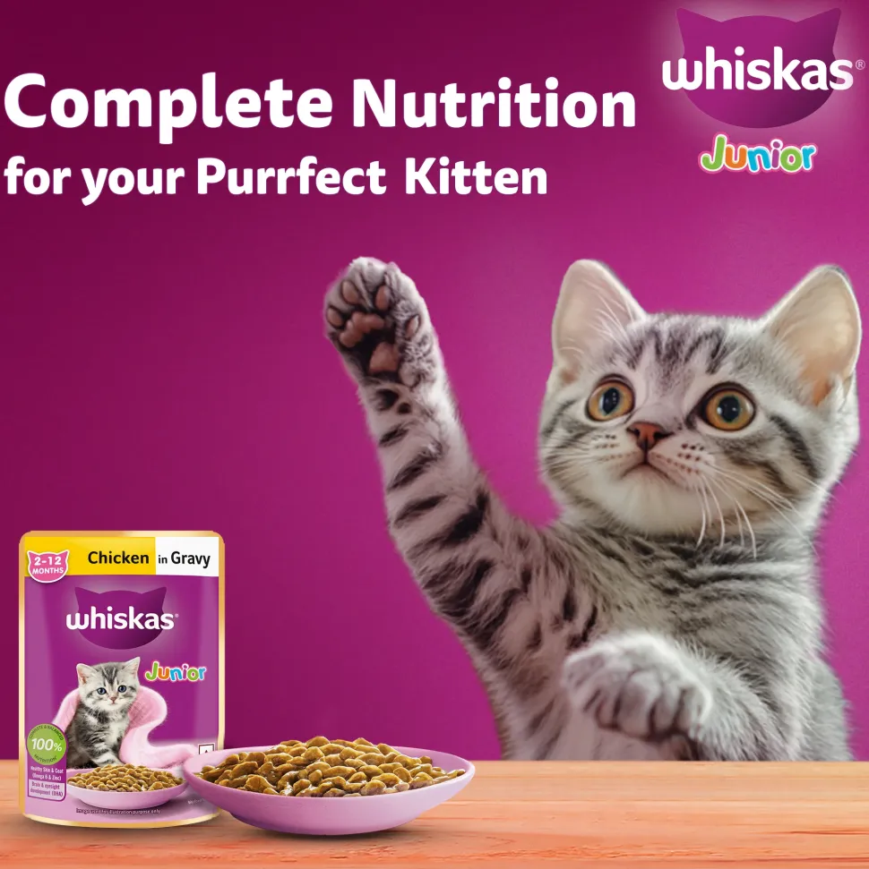 Whiskas Junior Kitten (2-12 Months) Chicken in Gravy Wet Cat Food - 80 gm Pack