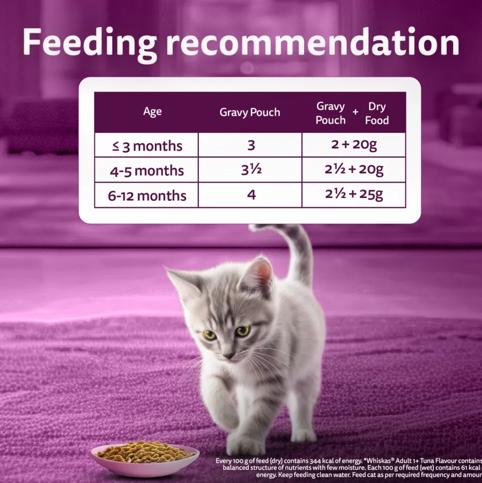 Whiskas Junior Kitten (2-12 Months) Tuna in Jelly Wet Cat Food - 80 gm Pack