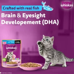 Whiskas Junior Kitten (2-12 Months) Tuna in Jelly Wet Cat Food - 80 gm Pack