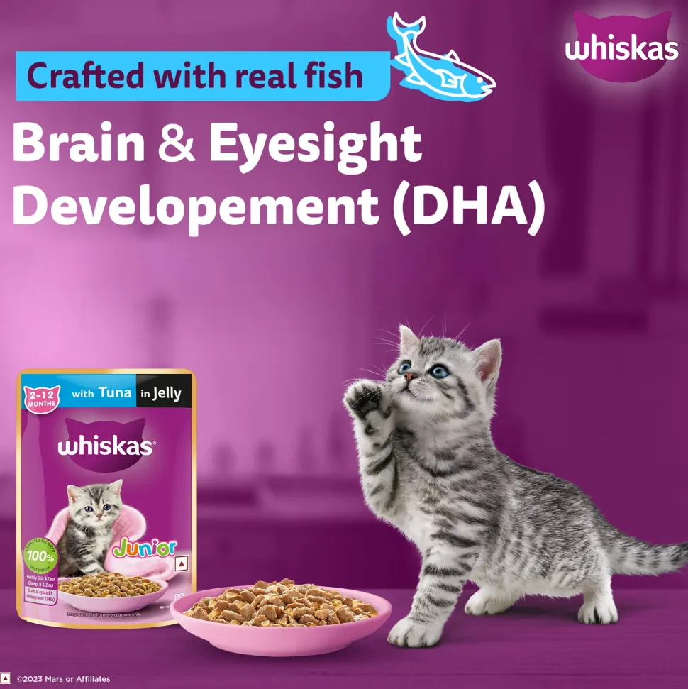 Whiskas Junior Kitten (2-12 Months) Tuna in Jelly Wet Cat Food - 80 gm Pack