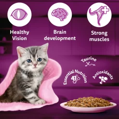 Whiskas Junior Kitten (2-12 Months) Tuna in Jelly Wet Cat Food - 80 gm Pack