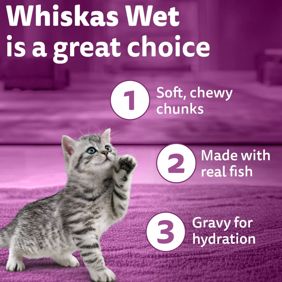 Whiskas Junior Kitten (2-12 Months) Tuna in Jelly Wet Cat Food - 80 gm Pack