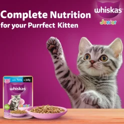 Whiskas Junior Kitten (2-12 Months) Tuna in Jelly Wet Cat Food - 80 gm Pack