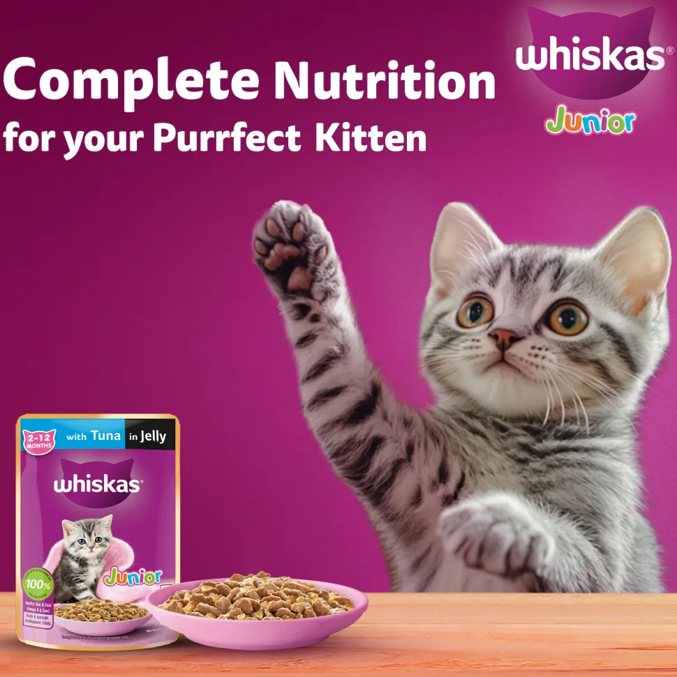 Whiskas Junior Kitten (2-12 Months) Tuna in Jelly Wet Cat Food - 80 gm Pack