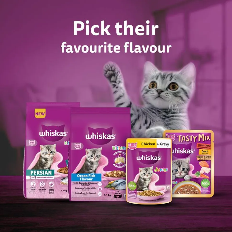 Whiskas Mackerel Flavour Dry Food For (2-12 Months) Kitten
