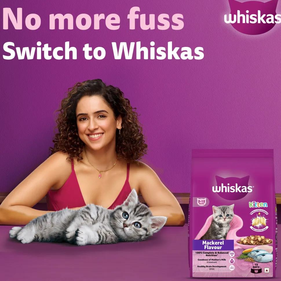 Whiskas Mackerel Flavour Dry Food For (2-12 Months) Kitten