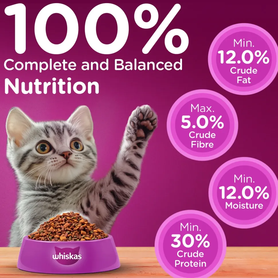 Whiskas Mackerel Flavour Dry Food For (2-12 Months) Kitten