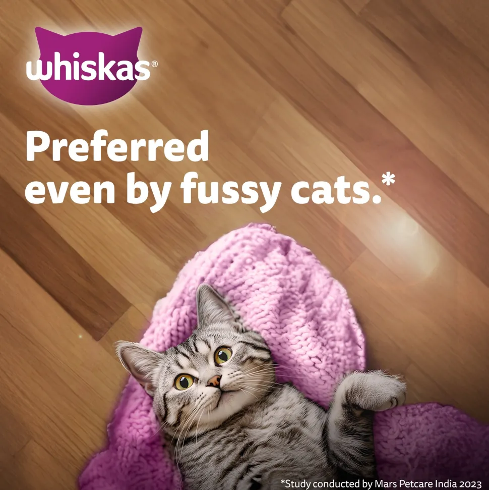 Whiskas Mackerel In Jelly Wet Food For Junior (2-12 Months) Kitten - 80 gm Pack