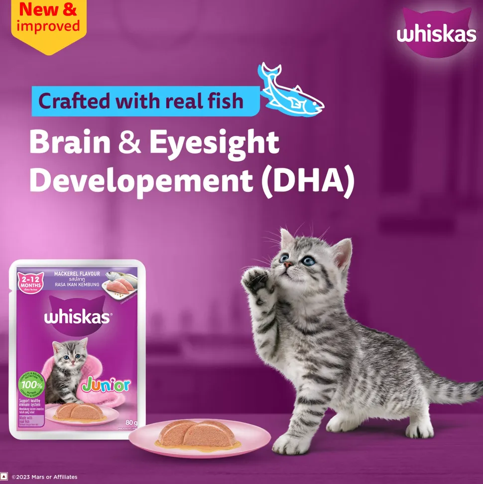 Whiskas Mackerel In Jelly Wet Food For Junior (2-12 Months) Kitten - 80 gm Pack