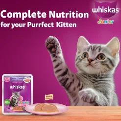 Whiskas Mackerel In Jelly Wet Food For Junior (2-12 Months) Kitten - 80 gm Pack