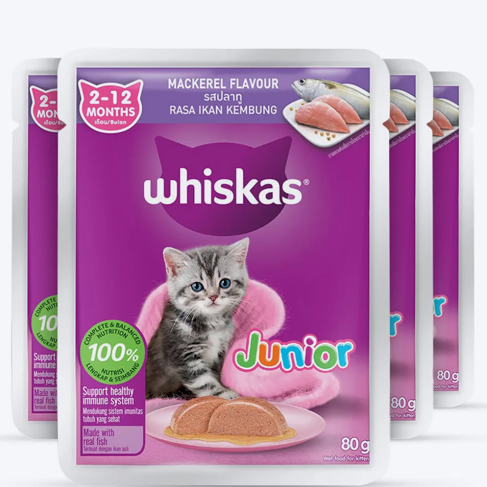 Whiskas Mackerel In Jelly Wet Food For Junior (2-12 Months) Kitten - 80 gm Pack
