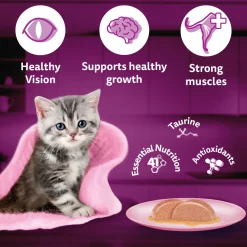 Whiskas Mackerel In Jelly Wet Food For Junior (2-12 Months) Kitten - 80 gm Pack