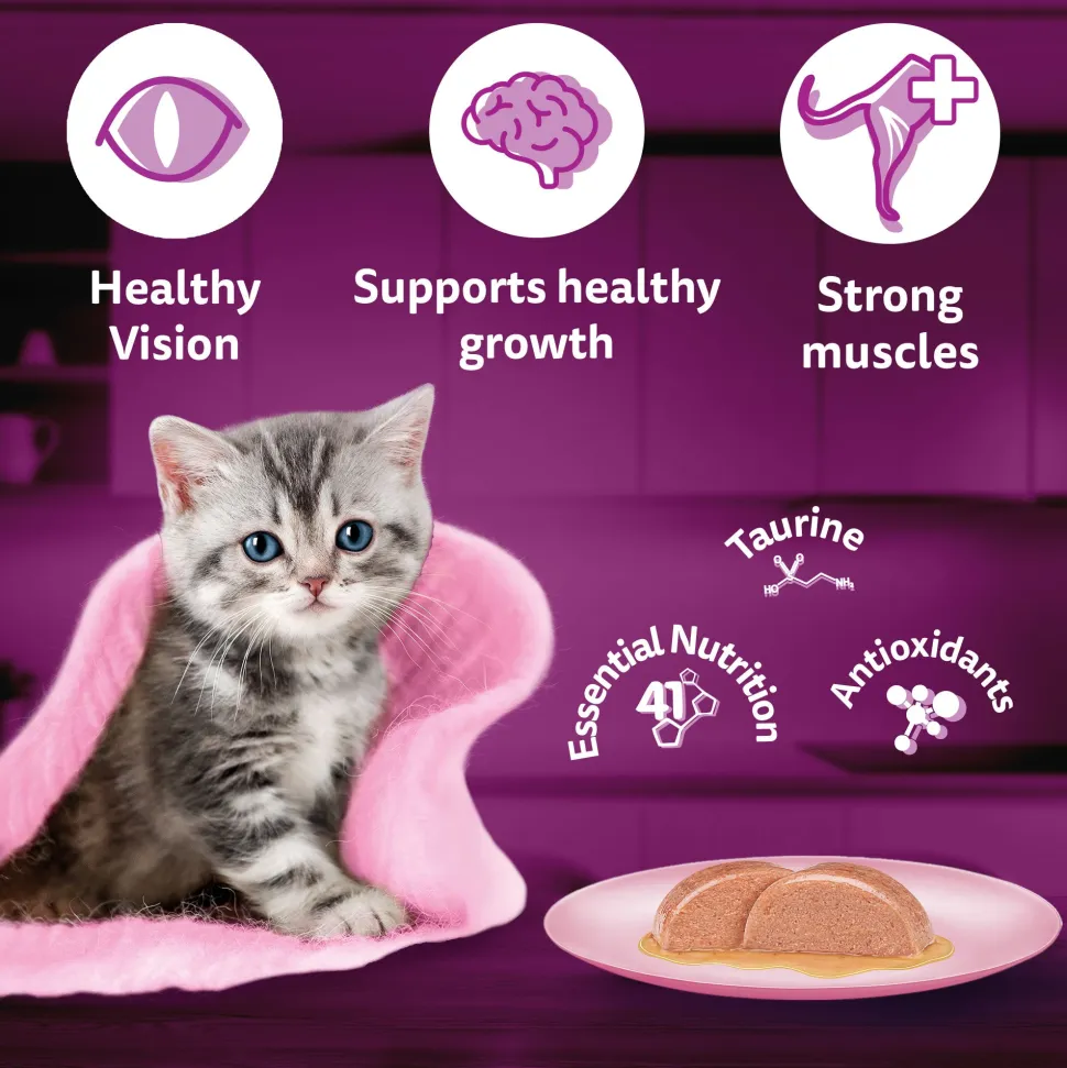 Whiskas Mackerel In Jelly Wet Food For Junior (2-12 Months) Kitten - 80 gm Pack