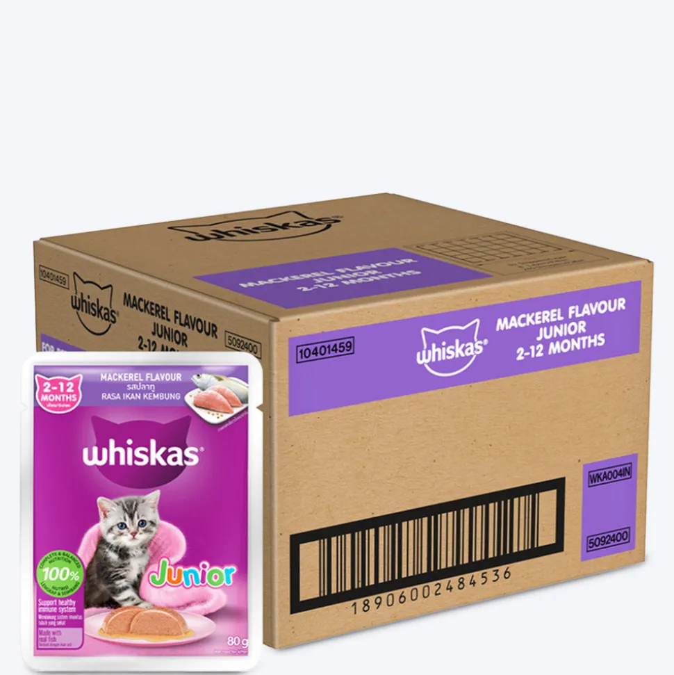 Whiskas Mackerel In Jelly Wet Food For Junior (2-12 Months) Kitten - 80 gm Pack