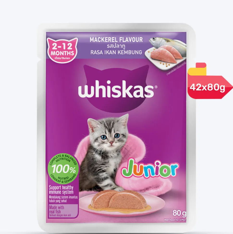 Whiskas Mackerel In Jelly Wet Food For Junior (2-12 Months) Kitten - 80 gm Pack