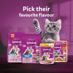 Whiskas Mackerel In Jelly Wet Food For Junior (2-12 Months) Kitten - 80 gm Pack