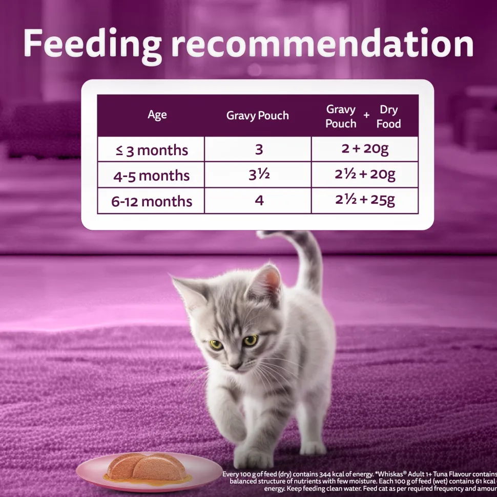 Whiskas Mackerel In Jelly Wet Food For Junior (2-12 Months) Kitten - 80 gm Pack