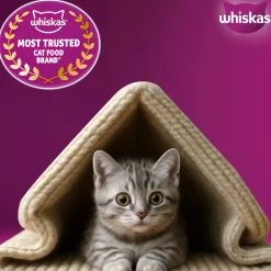 Whiskas Ocean Fish Dry Food For Kitten (2-12 Months)
