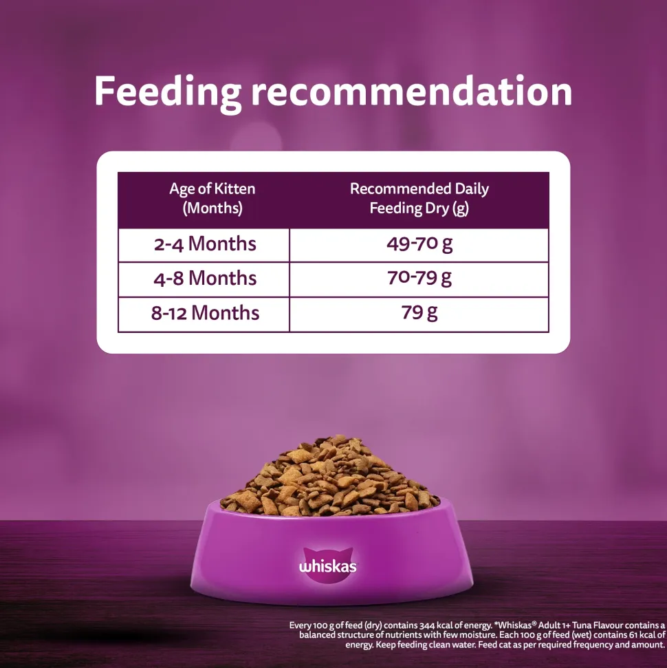 Whiskas Ocean Fish Dry Food For Kitten (2-12 Months)