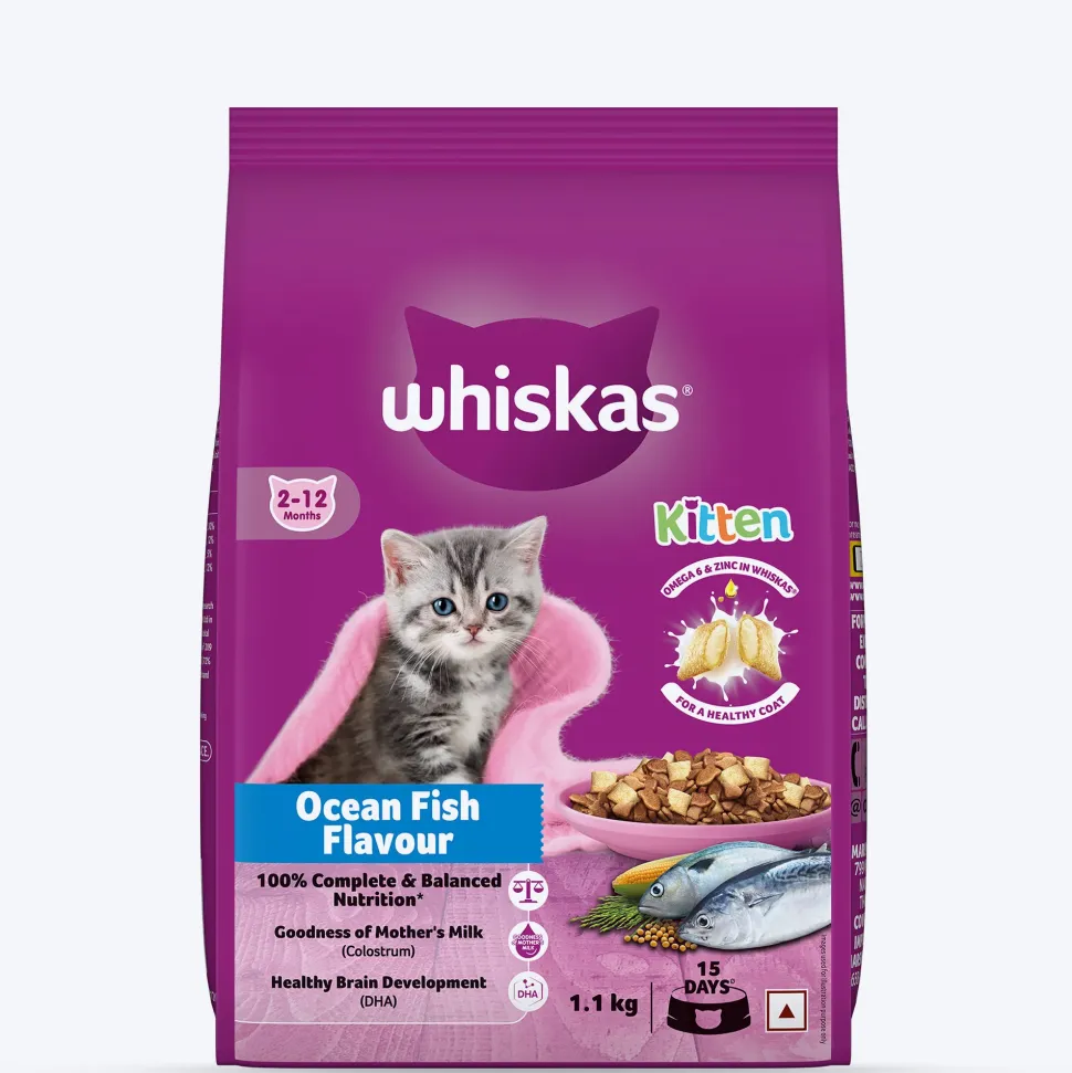 Whiskas Ocean Fish Dry Food For Kitten (2-12 Months)