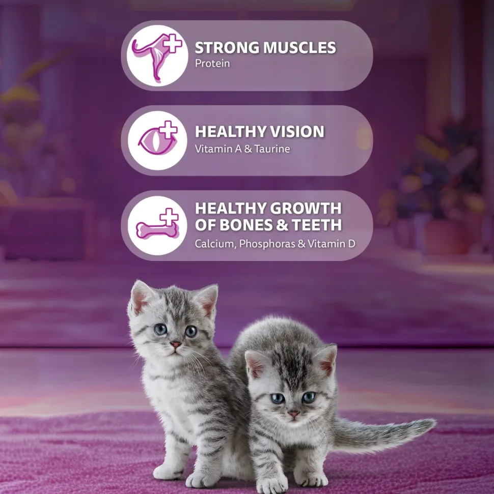 Whiskas Ocean Fish Dry Food For Kitten (2-12 Months)